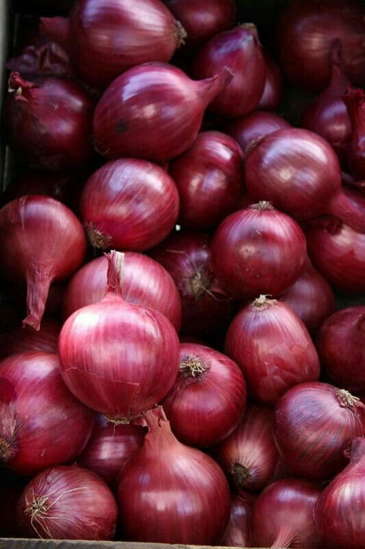 Fresh Onion (Pyaaz)