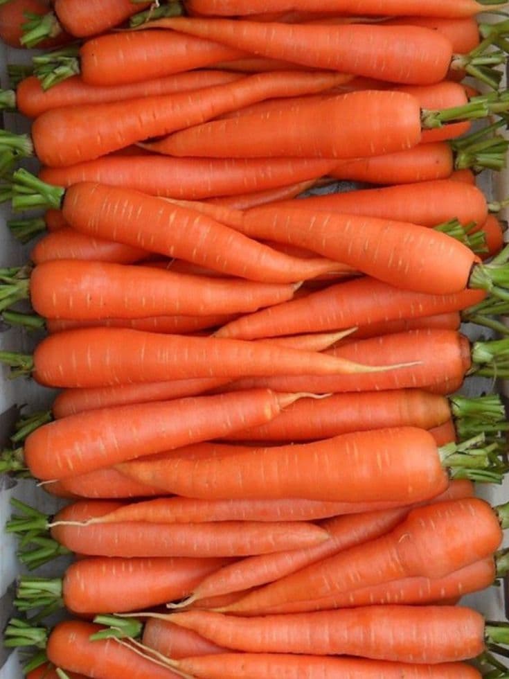 Fresh Carrot (Gajar)