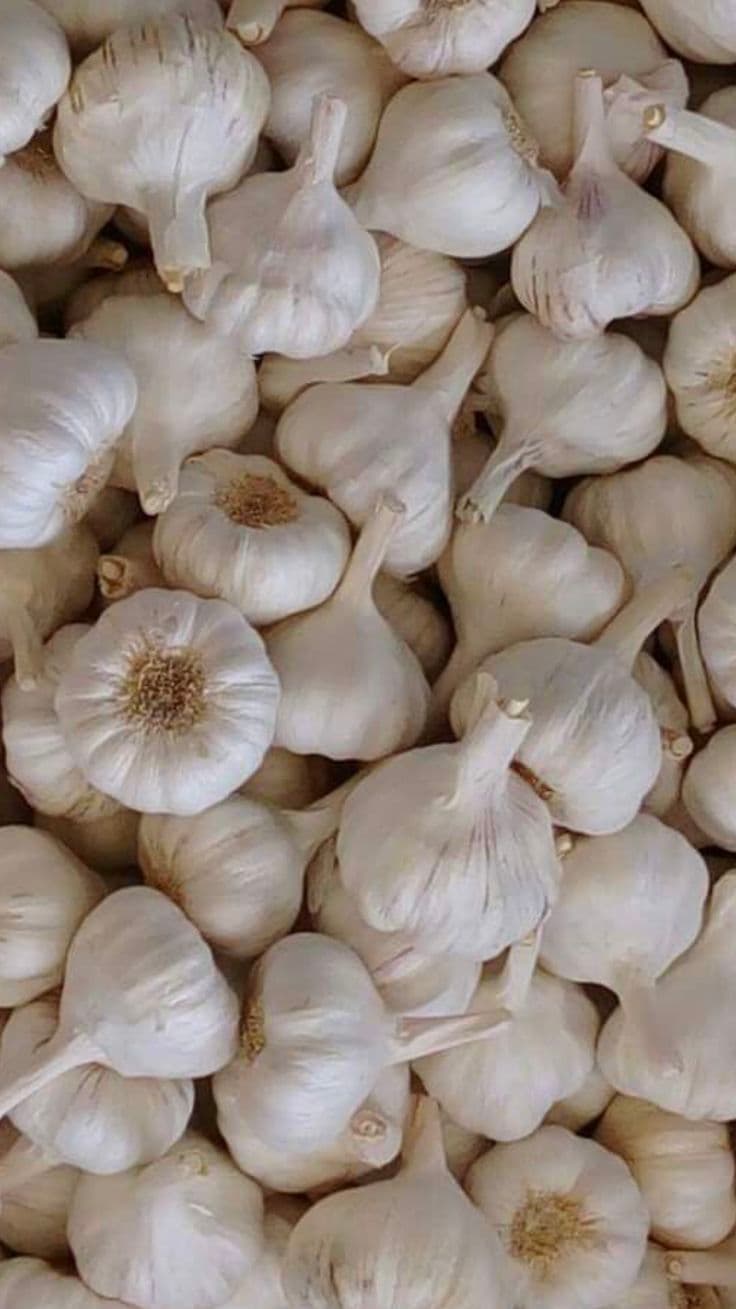 Fresh Garlic (Lehsun)
