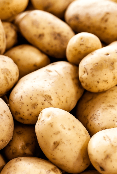 Fresh Potato (Aloo)