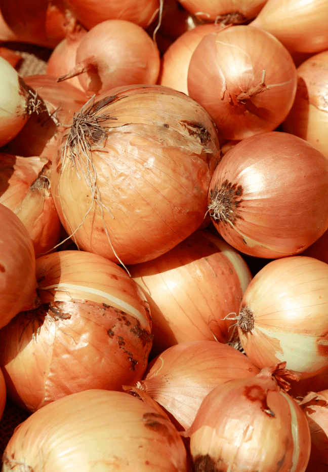 Fresh Onion (Pyaaz)